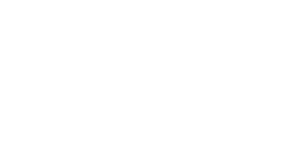 Kingdom Setters White logo